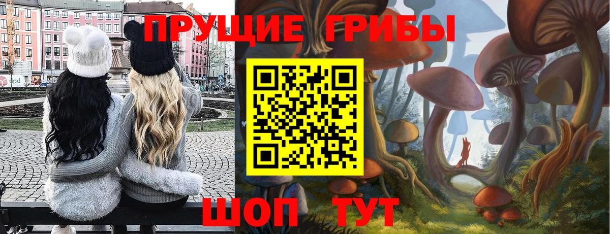 Псилоцибиновые грибы Cubensis  Вход с VPN  Пугачёв 