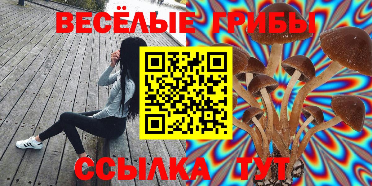 Галлюциногенные грибы мухоморы Пугачёв